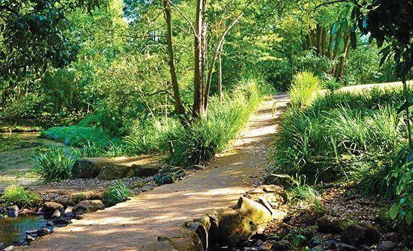 Tucki Tucki Creek in Goonellabah is one of many walking tracks in Lismore that people can explore.