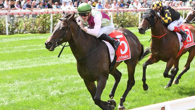 Mornington Glory wins the Lawn Rules Handicap at Moonee Valley. Picture: Brett Holburt / Racing Photos