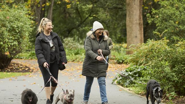 Million Paws Walk in the Adelaide Botanic Gardens, Sunday, May 28, 2023. Picture: Matt Loxton
