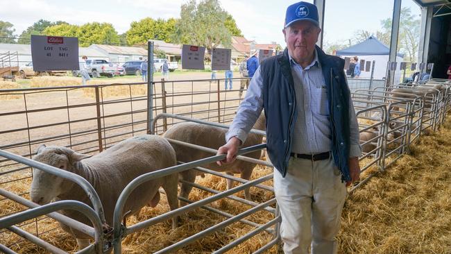 Laurie Thompson, Myrniong, advised the Sinclair family who took over his Gartlee Poll Dorset stud at Yea. Picture: Rachel Simmonds