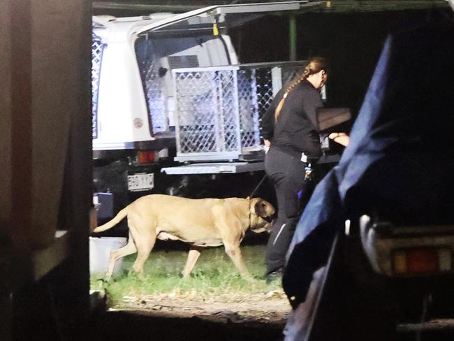 Animal control officers remove one of the dogs. Picture: Nigel Hallett