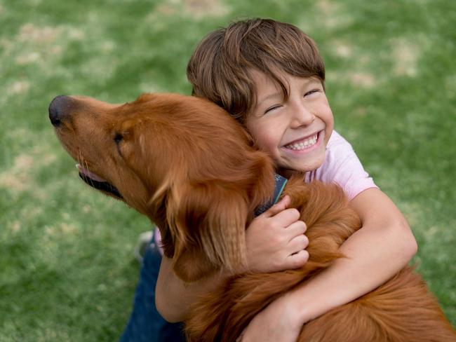 Pets have physical as well as mental health benefits for children. Picture: iStock