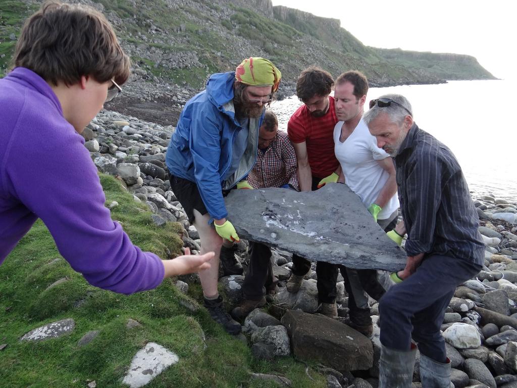 Researchers carry part of the fossil of a newly identified Jurassic Period flying reptile, or pterosaur, called 'Dearc sgiathanach', found on a rocky beach at Scotland's Isle of Skye