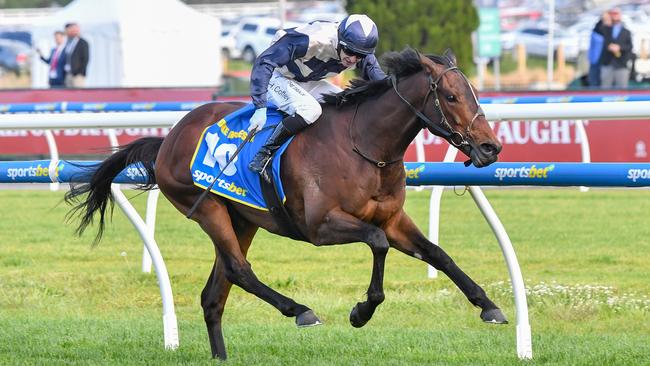 Duke De Sessa takes out the Caulfield Cup on Saturday. Photo: Pat Scala/Getty Images.