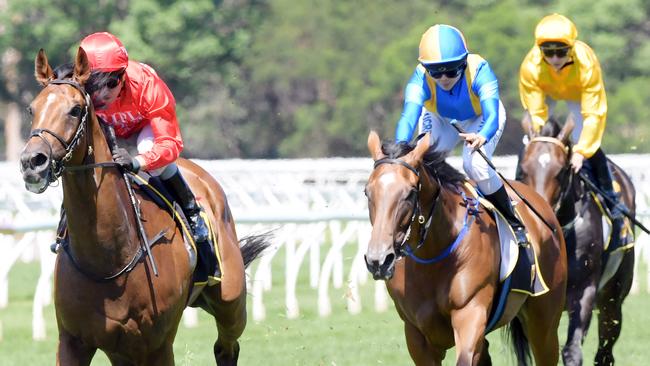 Gold Symphony, left, has an excellent record on soft tracks.