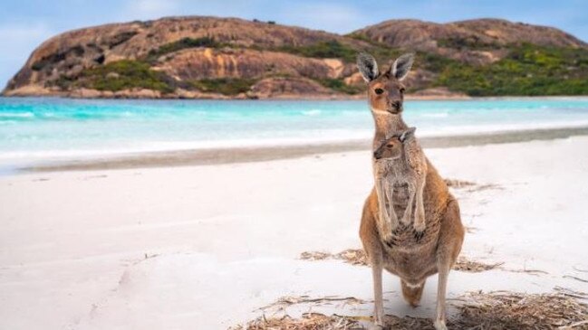 What’s that Skip? What’s great about Australia? We’re about to tell you. Picture: Escape