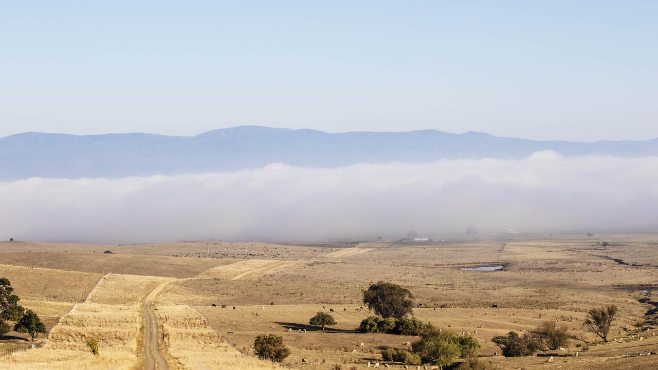 ‘It doesn’t rain grass’: Bring on the break