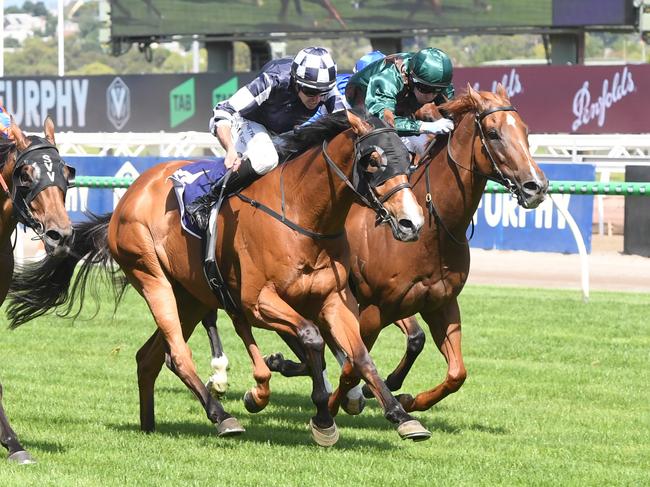 It'sourtime ridden by Billy Egan wins the Standish Handicap at Flemington Racecourse on January 11, 2025 in Flemington, Australia. (Photo by Brett Holburt/Racing Photos via Getty Images)