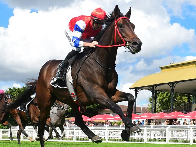 Will Hulbert has big Melbourne Cup dreams for import Dillian, who races at Eagle Farm on Saturday. Picture: Grant Peters, Trackside Photography.
