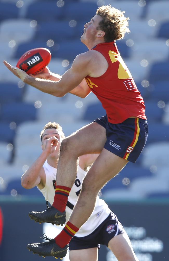 Will Gould takes a strong grab for South Australia. Picture: Dylan Burns/AFL Photos via Getty Images