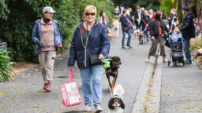 Million Paws Walk at Adelaide Botanic Gardens. Picture: Brenton Edwards