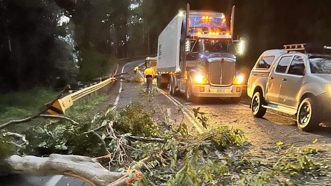 A large tree brought down by wind on Coramba Rd. Picture: Coffs Harbour SES