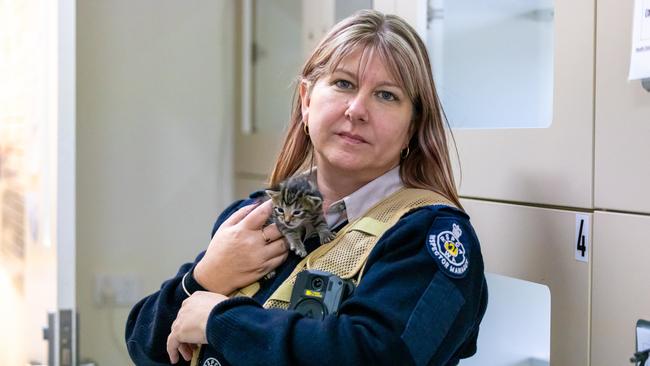 A man has been charged with animal cruelty after allegedly confining a cat (not pictured) in an Esky for eight hours. Picture: Supplied