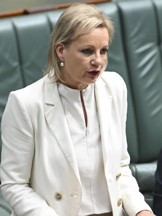 Deputy Liberal leader Sussan Ley. Picture: NewsWire / Martin Ollman