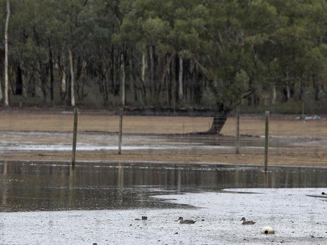 Just under 40mm of rain fell at Huntly north of Bendigo on Sunday afternoon. Picture: DALE WEBSTER