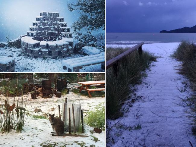 PHOTOS: Sea-level snow delights Tassie residents