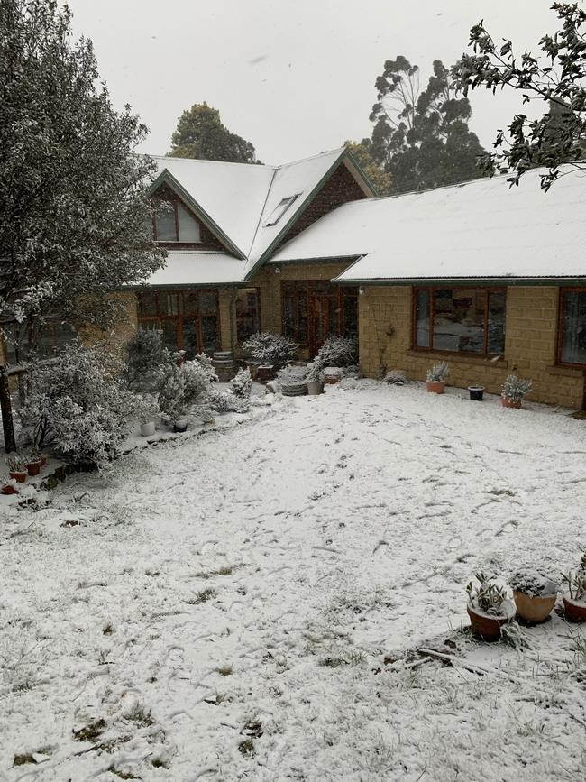 Snow falling thick and fast in Fern Tree, in Hobart, Tasmania on August 4, 2020. Picture: Iain Kelly