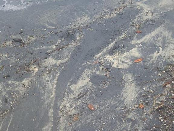 A Sunshine Coast ranger spotted a crocodile near a camping ground at Rainbow Beach, Inskip