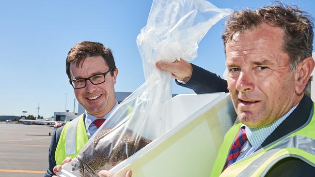 David Littleproud and Tim Whetstone with sterile fruit flies. Picture: Matt Loxton