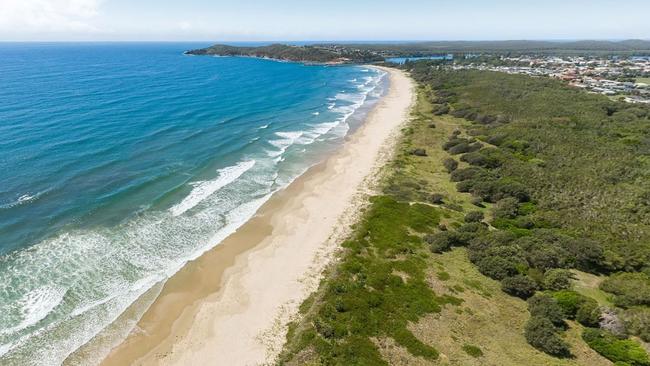 Air force Beach: Washed up ‘weird thing’ has beachgoers baffled | The ...