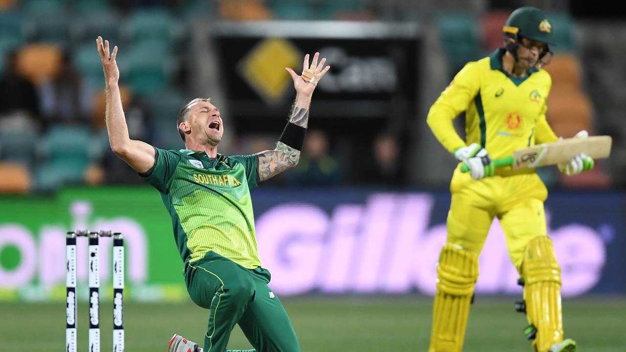 South Africa's Dale Steyn will make his Big Bash debut for the Melbourne Stars during the 2019-2020 series.