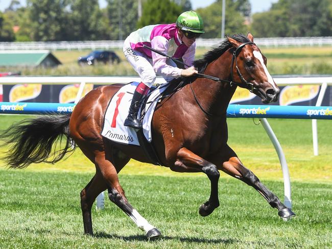 Coleman ridden by Ben Melham wins the Lamaro's Hotel Chairman's Stakes at Caulfield Racecourse on February 03, 2024 in Caulfield, Australia. (Photo by Pat Scala/Racing Photos via Getty Images)