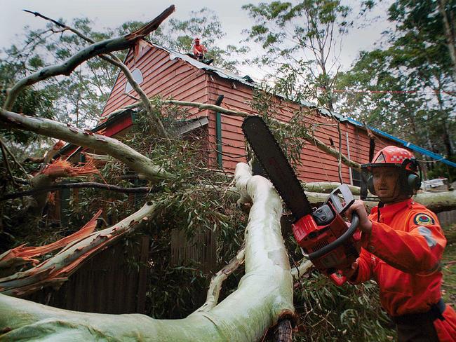 The La Nina weather pattern could produce more severe storms like this one which brought a tree down at Empire Bay. Picture: Mark Scott