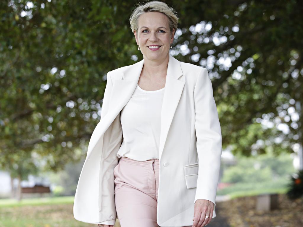 Tanya Plibersek will unveil the funding on Friday. Picture: Adam Yip