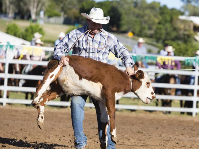 Animal liberationists call on ag minister to ban calf roping