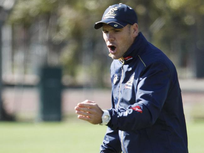 Wallabies and Waratahs defence coach Nathan Grey.