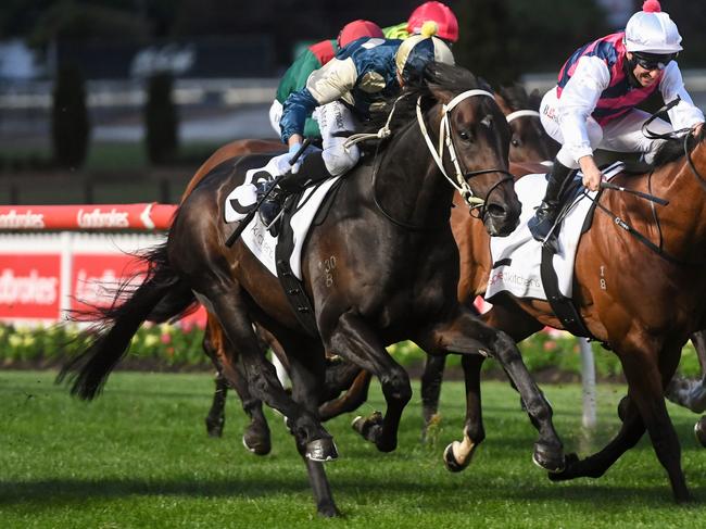 Forgot You (NZ) ridden by Daniel Moor wins the Aspect Kitchens Stutt Stakes at Moonee Valley Racecourse on September 24, 2021 in Moonee Ponds, Australia. (Brett Holburt/Racing Photos via Getty Images)