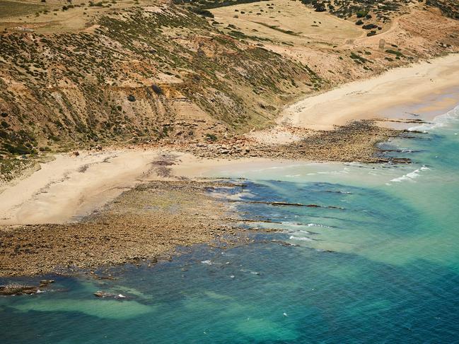 The algal bloom poisoning fish on the coastline has been compared to the size of Kangaroo Island.. Picture: Matt Loxton