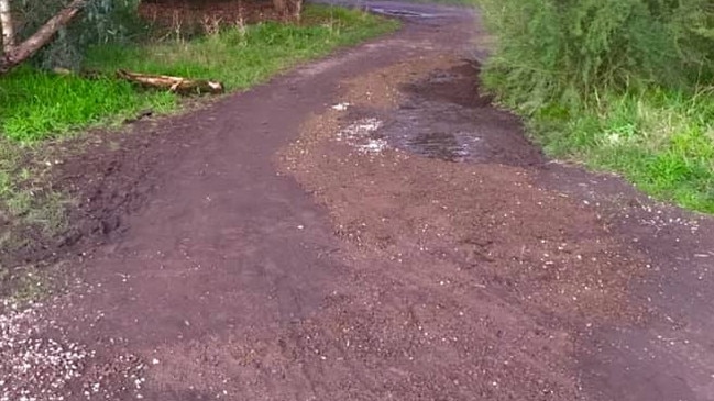 Rob and Christine Granter fixed up a section of the Banyule Flats walking track as part of their own citizen action.