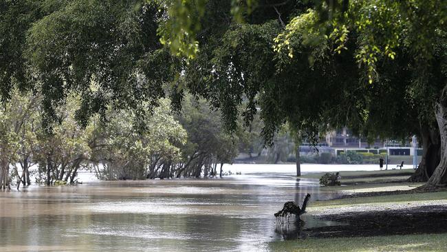 Clean-up pictured in West End of Brisbane from the flooding across the city this week. Picture: NCA NewsWire / Josh Woning