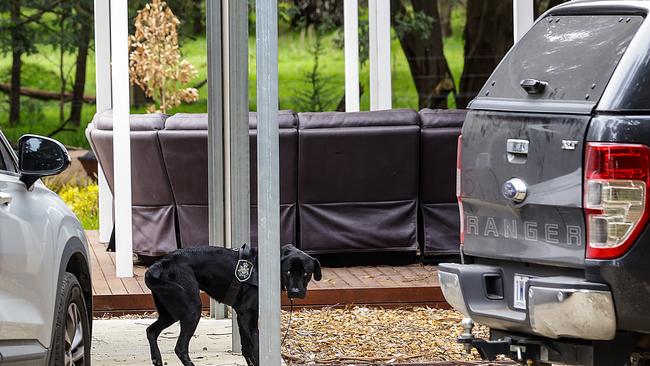 A technology detection dog begins to search the car of Erin Patterson. Picture: NCA newsWire / Ian Currie