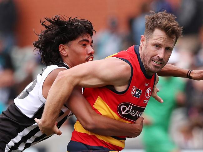 SANFL clubs to have say on proposed Port, Crows changes