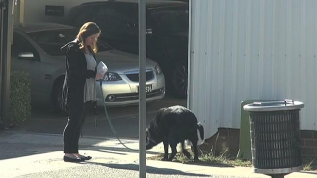 A screengrab from the Seven Network footage showing an Emma Husar staff member taking the MP’s dog for a walk. Picture: Seven News