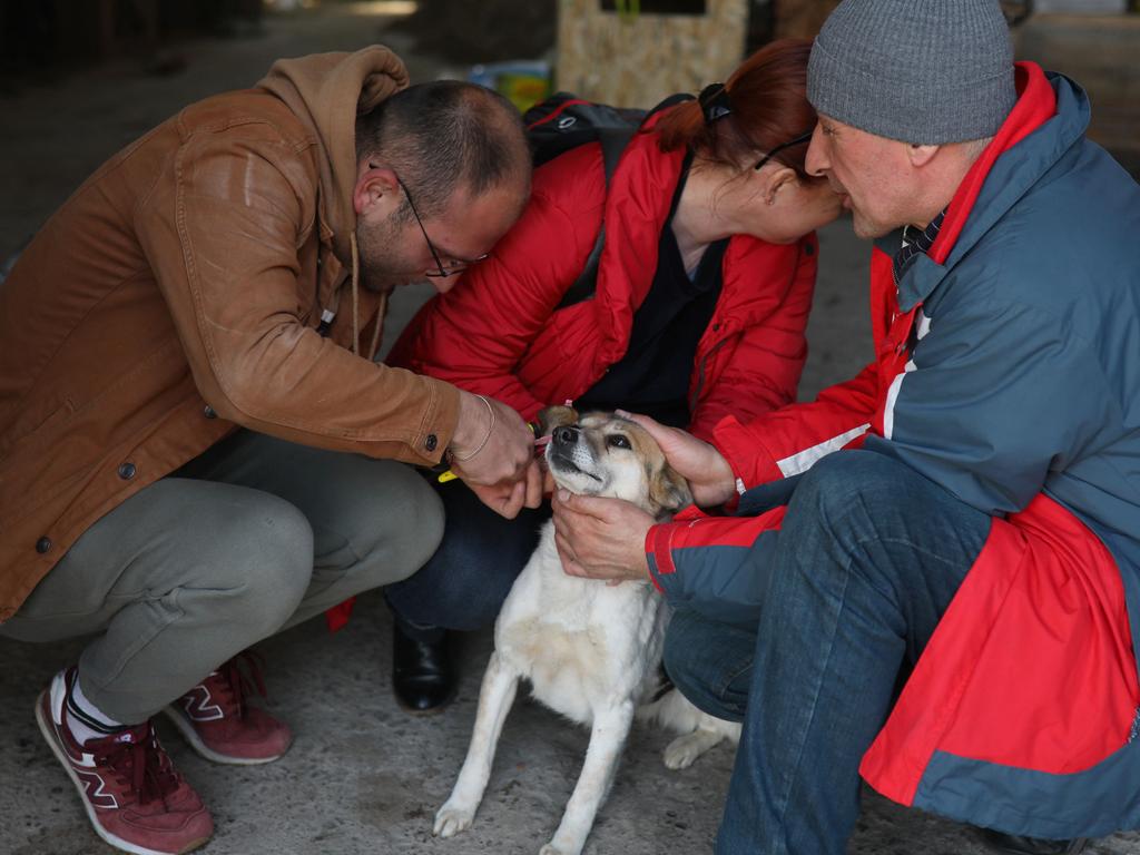 Shelter manager Orest Zalypskyy (left) removes an identification tag before giving a dog to its new adoptive family in the "Home for Rescued Animals" shelter. Picture: AFP