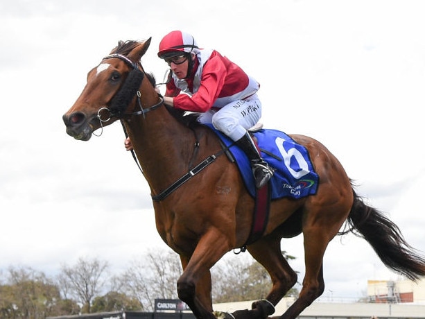 Windstorm wins the Weekend Hussler at Caulfield on October 10, 2020 (Pat Scala /Racing Photos via Getty Images)