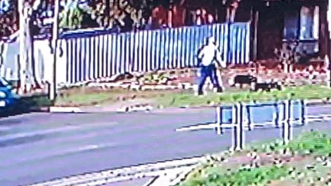 CCTV footage of the man with the two dogs. Picture: SA police