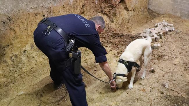 One of two ground areas forensically examined with the dog squad at a Repton property as the search continues for missing Bellingen woman Rose Howell.