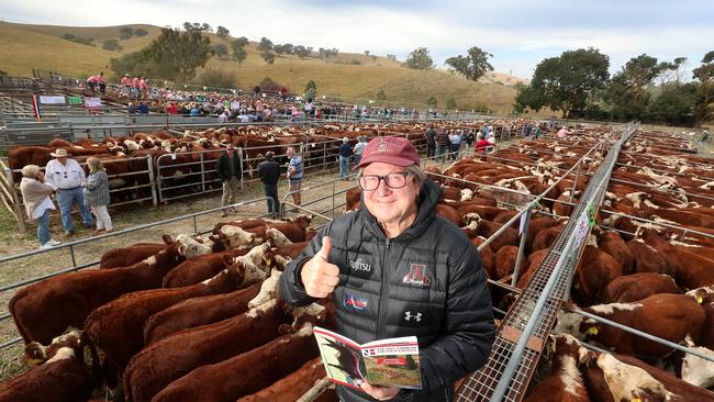 AFL legend Kevin Sheedy at the Ensay sale.