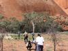‘Nothing left’: Is buffel grass a weed, or feed, of national significance