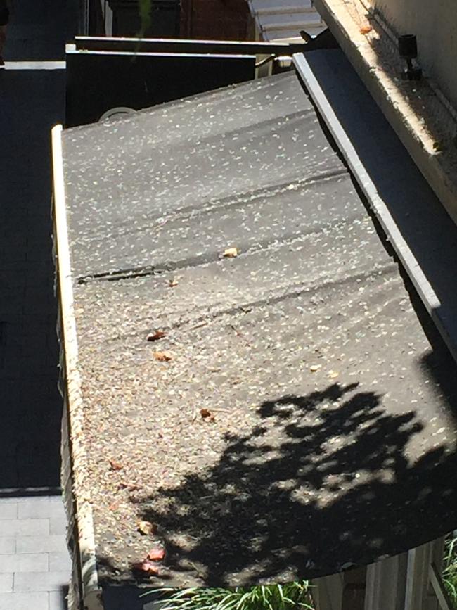 Bird droppings on an awning on Leigh Street.