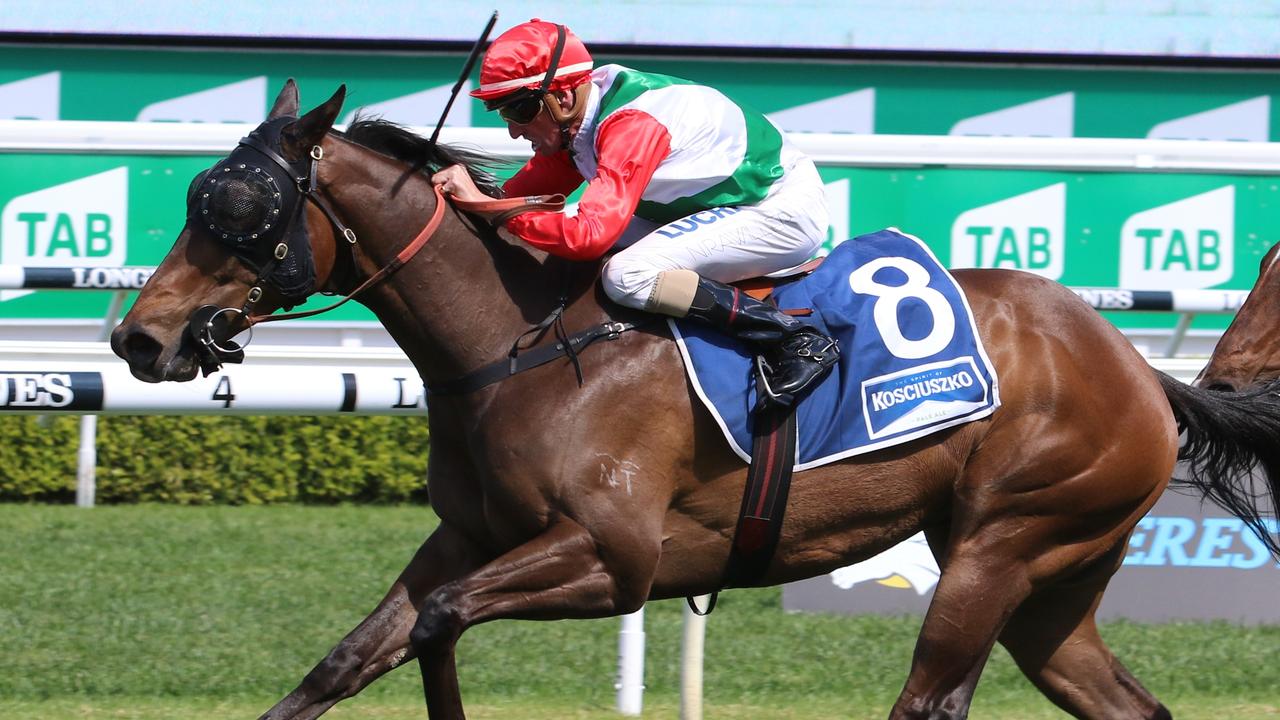 Kosciuszko winner Handle The Truth aiming for a second Randwick win ...