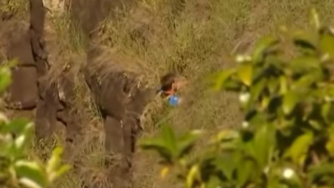 A 19-year-old has been winched to safety after he found himself caught in a precarious position during a Boxing Day climb. Picture: 7 News