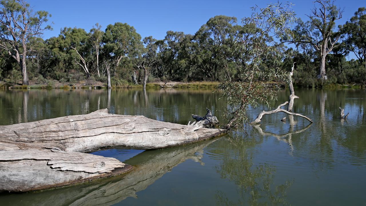 løber tør Paradis Mark NSW drought: Murray Darling farmers fail to use water | Daily Telegraph