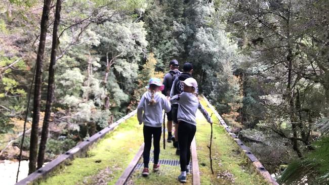 Bird River track walk, West Coast. Picture: HELEN TIDDY