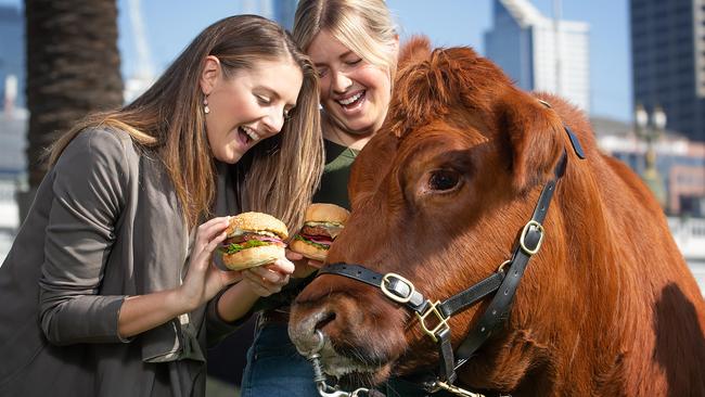 Alice Cloake and Ashley Urquhart give Teddy the day off as they tuck into vegie burgers. Picture: Sarah Matray