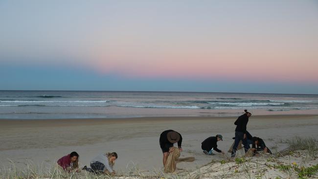 Beach clean up.